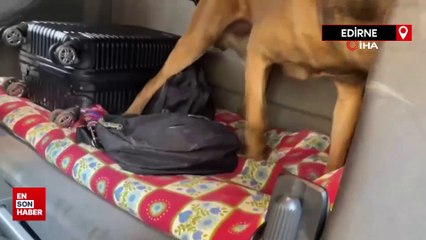 Kapıkule'de 50 milyon liralık uyuşturucu operasyonu