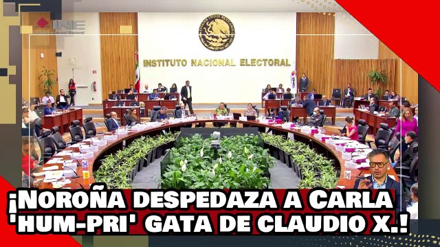 ¡VEAN! ¡Dr. Noroña hace pedazos a Carla ‘Hum-pri’ la gata del PRIAN y el Sr. X por atacar a morena!