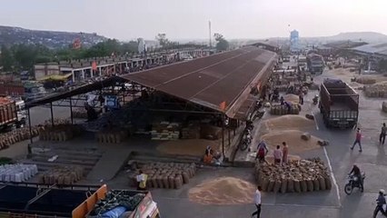 Video: Bumper arrival of wheat in Kusmeli Mandi