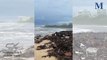 Woonona Beach after the storm │ April 7, 2024 │ Illawarra Mercury