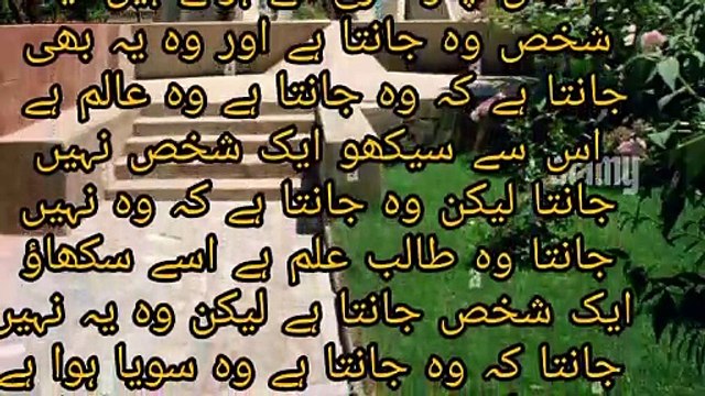 aqwal e zareen in urdu | quotes of hazrat Ali in Urdu | aqwale muzmil215