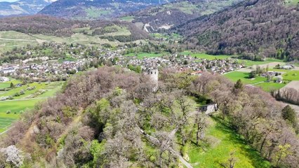 2024.04.06 Un vol près de la ruine du château de Duin