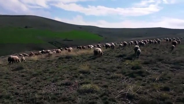 Sosyal medyayı adeta sallamıştı! İşte fenomen muhtar adayının Muhsin Yazıcıoğlu şiiri