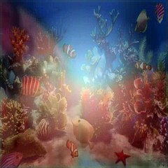 Dora The Explorer S05E13 The Big Red Chicken's Magic Show