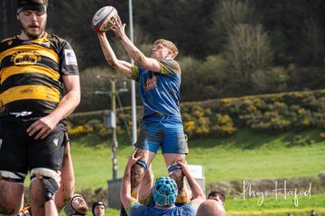 Aberaeron put St Davids to the sword
