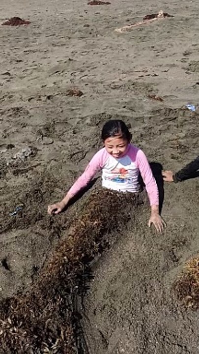 mermaid