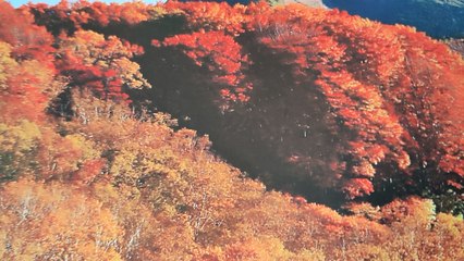 Le Tour du Japon #05, ses paysages  (Exclusivité Dailymotion)