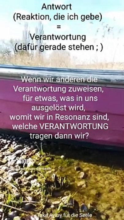 (ver-) antworten