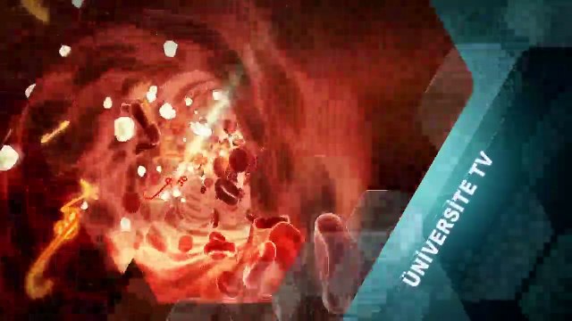 1-Tv Programı Aile Evlilikler Çift Sorunlari Cozumleri EKREM ÇULFA 0533 373 81 23 için arayabilirsiniz