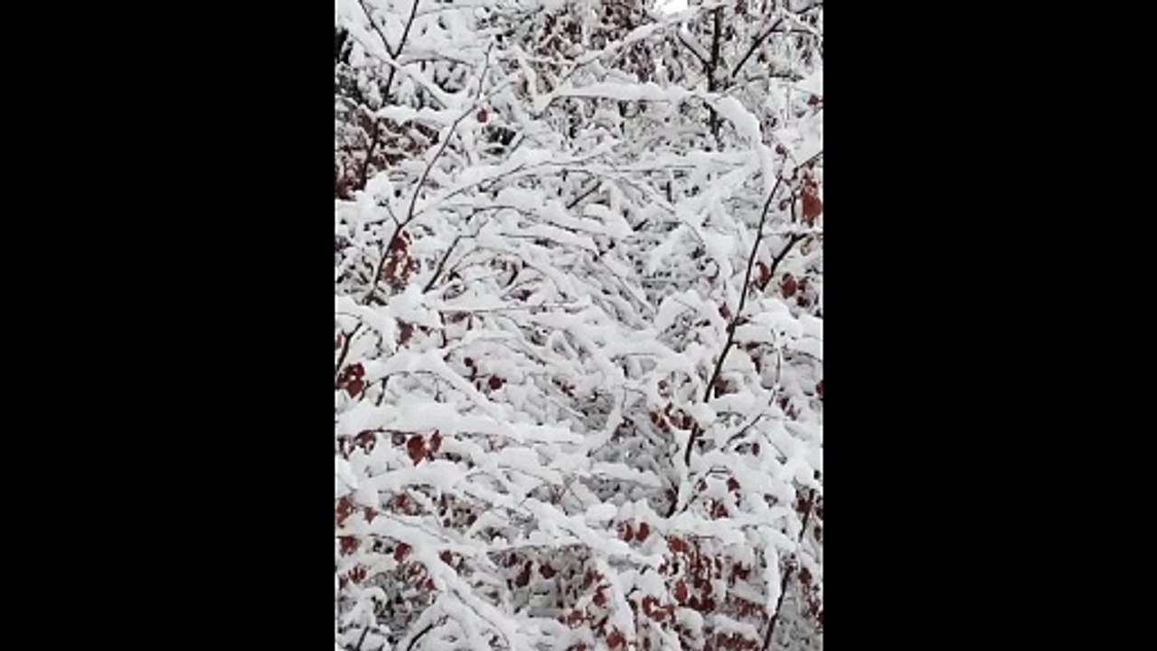 Eine stille, schnelle Nummer