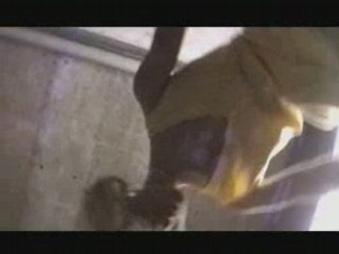 Les films suédés de dimanche 2 cinéma : Kill Bill