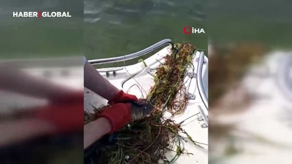 Kaçak avcılıkta kullanılan ağ denetime takıldı, el koyuldu