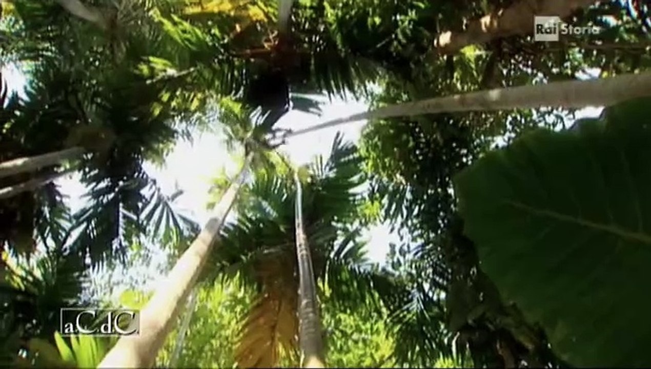 aCdC - Alessandro Barbero - La lega anseatica tedesca 2 - Documentario