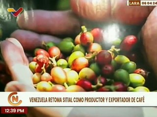 Culminó con éxito la feria "Barquisimeto Huele a Café" desarrollada en el estado Lara
