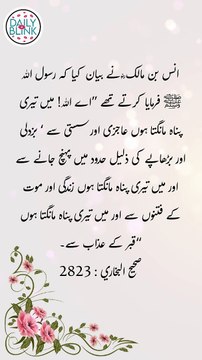 Daily Hadees | Hadees Sharif | Sahih Bukhari 2823 || Daily Blink #shorts #hadees #hadith