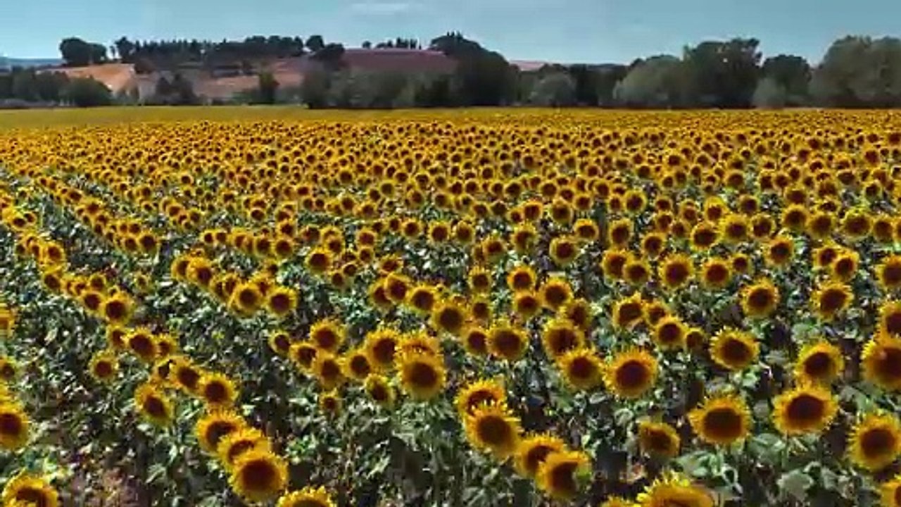 4K HDR 2024 ERUM PK STUDIO