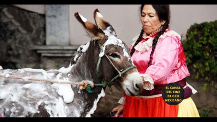 SE CONFIRMA LO QUE MUCHOS CREÍAN. A LA FORTUNA DE LA INDIA MARÍA LE PASÓ LO MISMO QUE A LA DE TIN TÁN