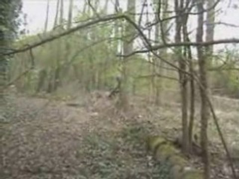 Airsoft Scorpion-and-Sniper