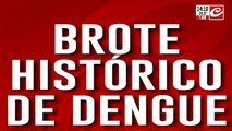 Brote histórico de dengue en Chaco: falleció una nena de 6 años