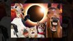 Solar eclipse 2024 Watch out for these animals’ ‘strange behaviors’ Monday’s much-anticipated solar eclipse could cause critters to act kookier than normal, scientists say.