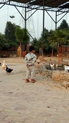 Bird view #viral #trending #foryou #reels #beautiful #love #funny #delicious #fun #love #yummy