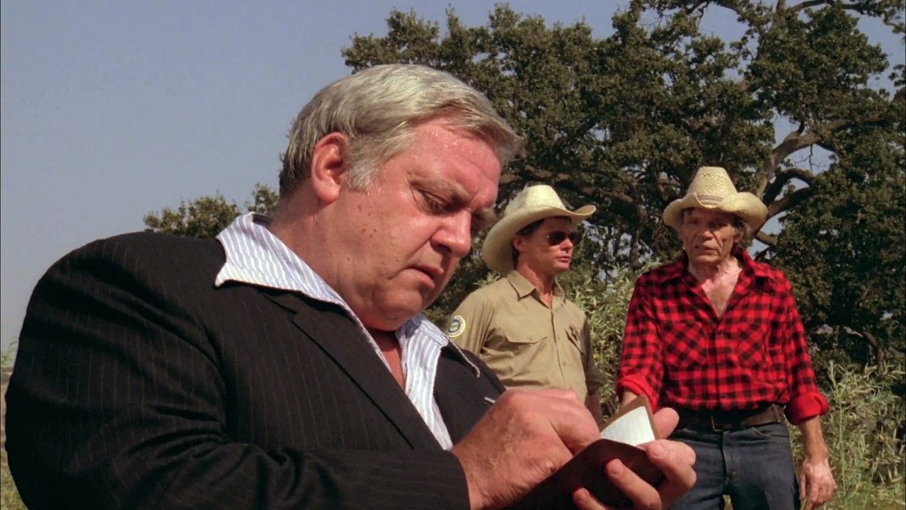 Die Rückkehr der Ausserirdischen (1980) stream deutsch anschauen