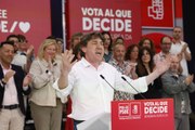 Andueza: El PSE-EE va a ser el dique de contención para que Bildu no gobierne en Euskadi