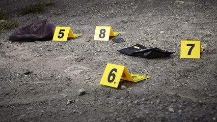 Crimes vidéo bande annonce