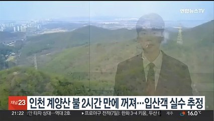 인천 계양산 불 2시간 만에 꺼져…"입산객 실수 추정"
