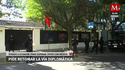 El Senado de la Republica hace un llamado a Ecuador para retomar la vía diplomática