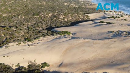Sand dunes lining Australia's longest beach retreating at alarming rate
