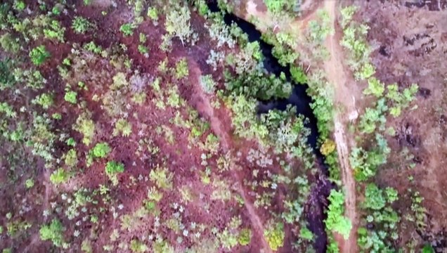 Suspected asylum seeker located by WA Police after boat arrival