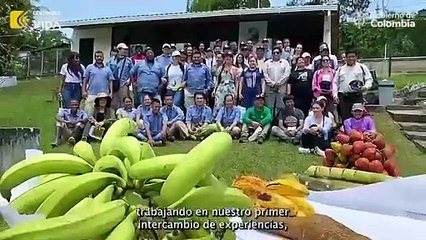 Colombia, Perú y Alemania ante cultivos de coca en áreas protegidas (DSCI)