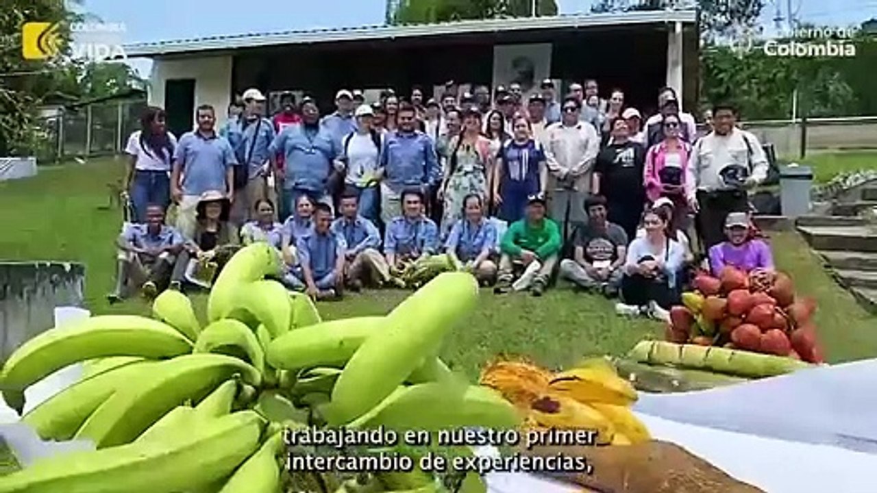 Colombia, Perú y Alemania ante cultivos de coca en áreas protegidas (DSCI)
