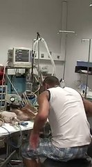 La voix de son maître semble le sortir du coma