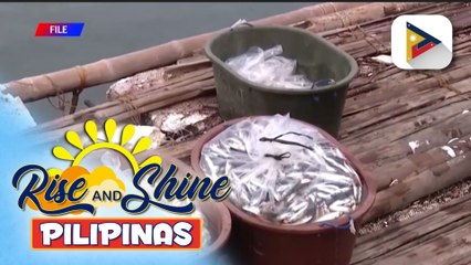 Supply ng isda sa bansa, magiging stable sa mga susunod na buwan ayon sa D.A.