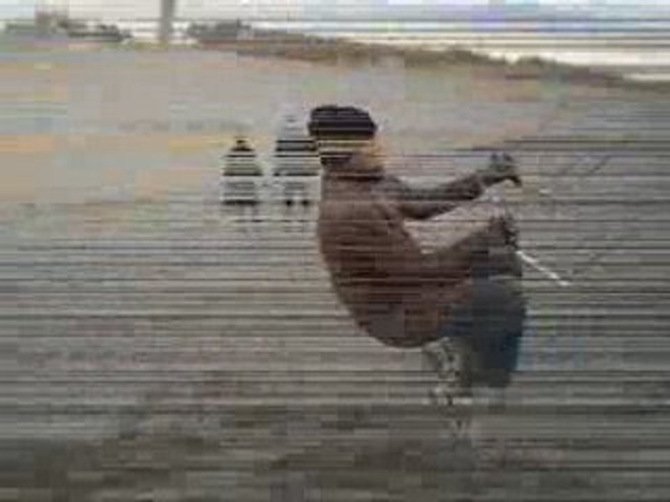 chutes sur la plage en f1