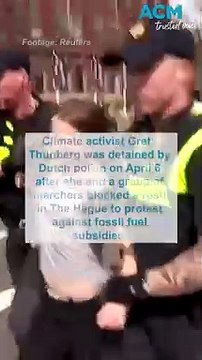 Climate activist Greta Thunberg detained by police at Hague protest