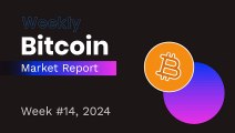Week #14 - 03.31 to 04.07 BITCOIN (BTC) Weekly Report #crypto #market #report