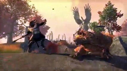 The Elder Scrolls Online: Gold Road – Peligro en el Bosque Occidental