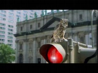 Publicité pour les scouts au Canada