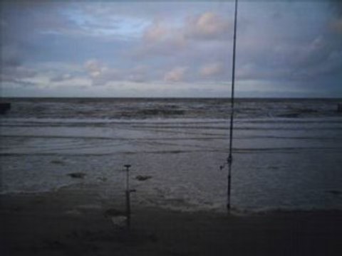 pêche en surfcasting