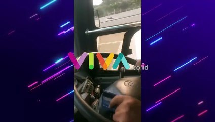 Momen Spesies Terkuat di Bumi Nyasar ke Jalur Tengah Toll