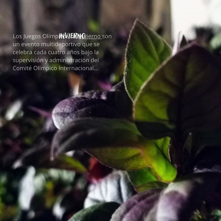 -Jacobo Shemaria Capuano- Olimpiadas de invierno: (Parte 1) (Creado por @JacoboShemariaCapuano)