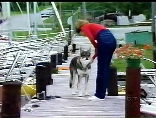 Littlest Hobo Sailing Away