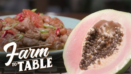 How to Make Ginataang Pabo na may Papaya | Farm To Table