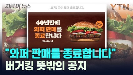 버거킹 '와퍼 판매 중지' 공지...누리꾼 "도대체 왜?" [지금이뉴스] / YTN