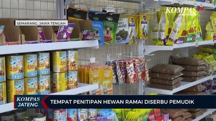 Tempat Penitipan Hewan Ramai Diserbu Pemudik