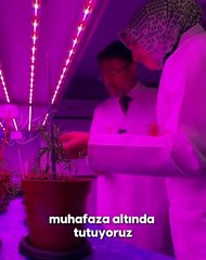 Türkiye Tohum Gen Bankası