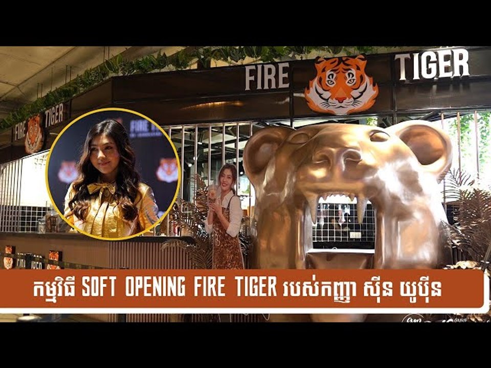 កញ្ញា ស៊ីន  យូប៊ីន  ស្ងាត់ៗក្លាយជាម្ចាស់ប្រេនតែគុជល្បីលំដាប់ Premium  FIRE  TIGER